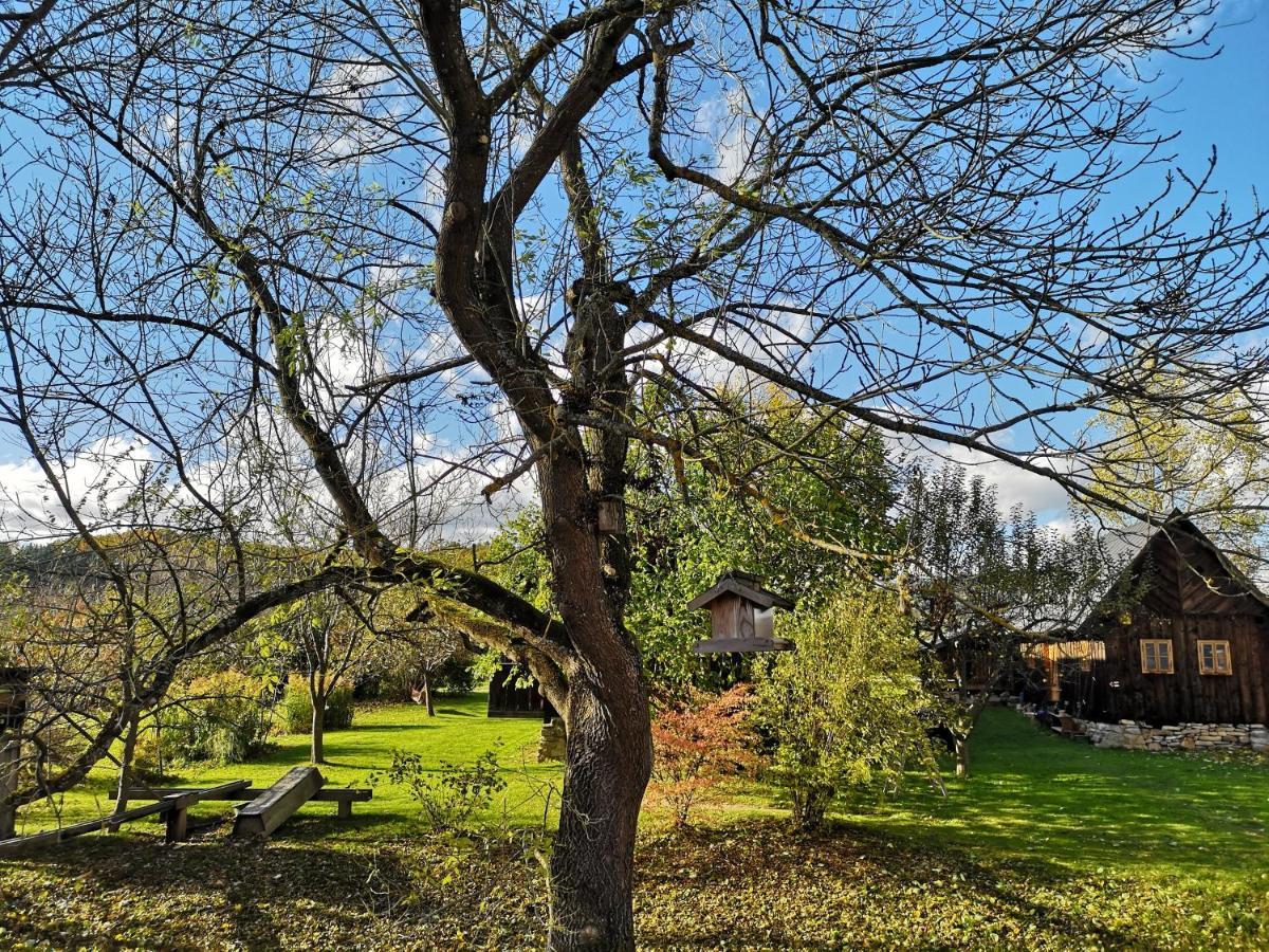 Apartmany Cerveny Dvur Chvalšiny Kültér fotó