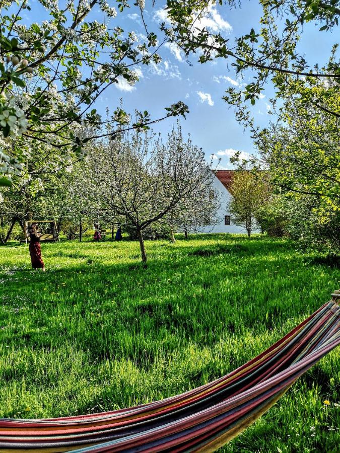 Apartmany Cerveny Dvur Chvalšiny Kültér fotó